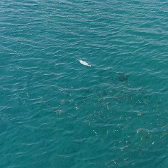 2015-09-16 10-07-57 Plage